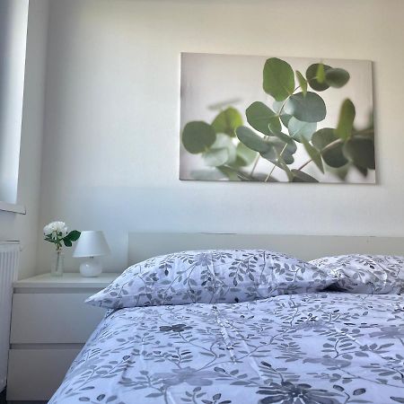 80M2 Apartment With Balcony & Free Netflix ウィーン エクステリア 写真